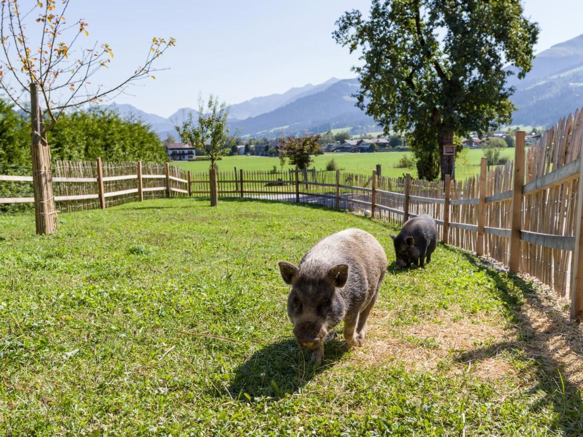 Narzenhof Wellness Chalets, Familien & Luxus Apartments Am Bauernhof Sankt Johann in Tirol Ngoại thất bức ảnh