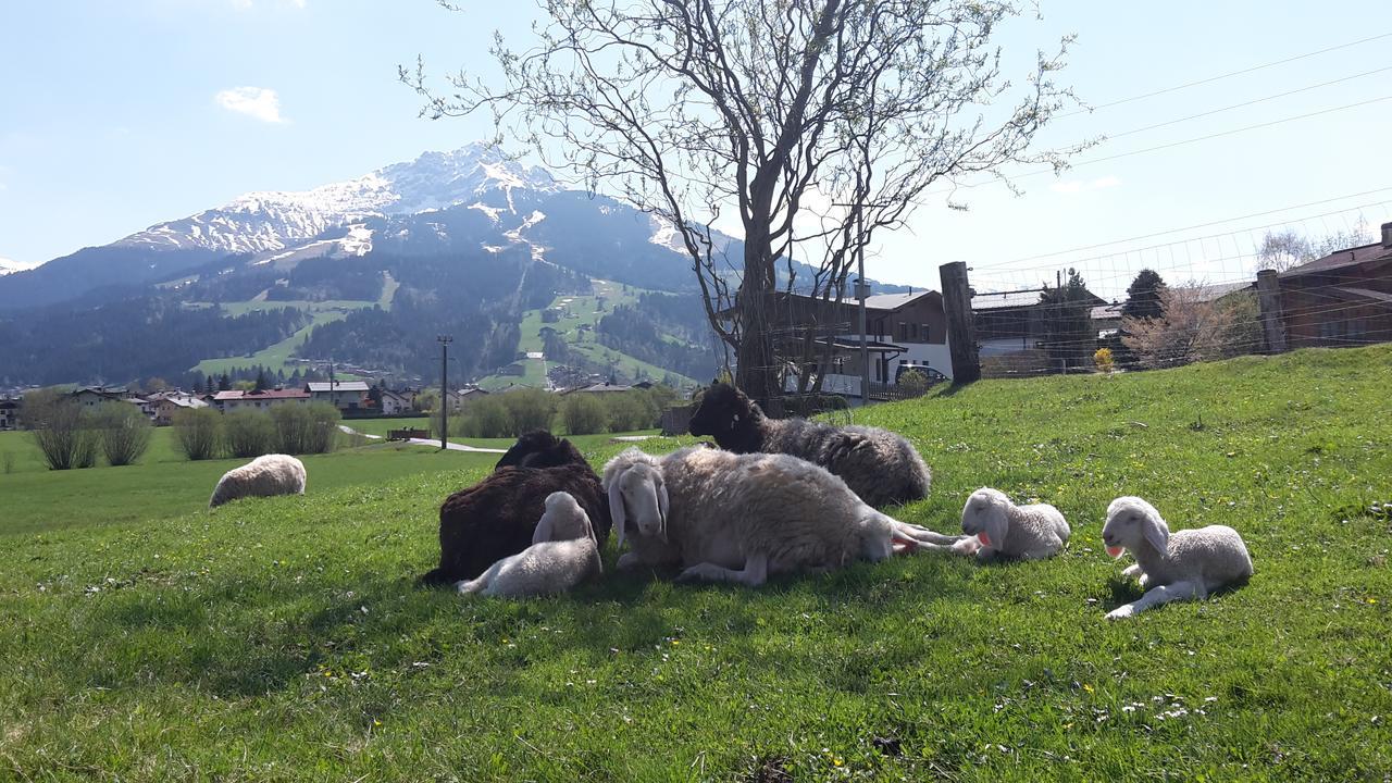 Narzenhof Wellness Chalets, Familien & Luxus Apartments Am Bauernhof Sankt Johann in Tirol Ngoại thất bức ảnh