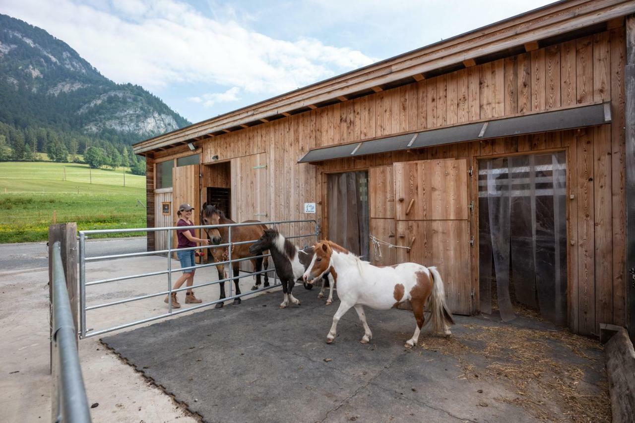 Narzenhof Wellness Chalets, Familien & Luxus Apartments Am Bauernhof Sankt Johann in Tirol Ngoại thất bức ảnh