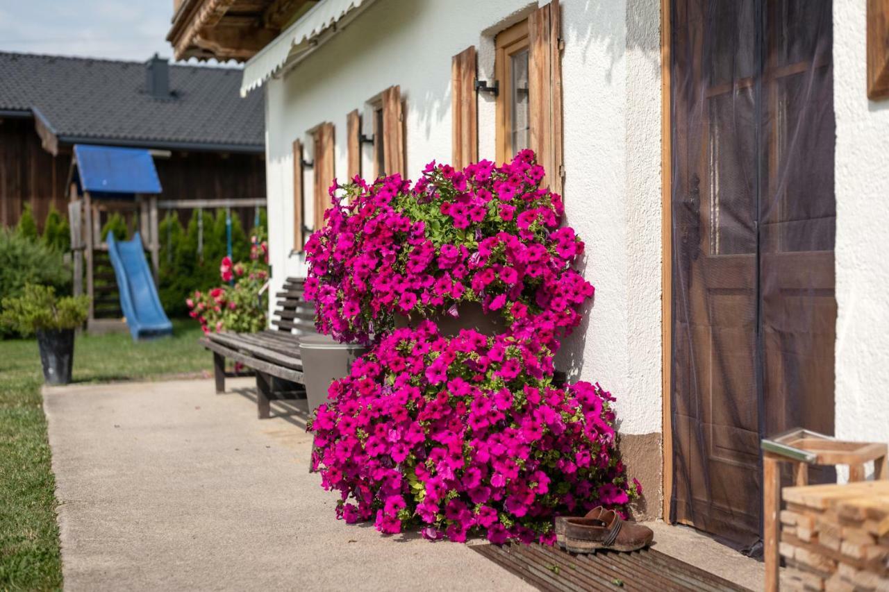 Narzenhof Wellness Chalets, Familien & Luxus Apartments Am Bauernhof Sankt Johann in Tirol Ngoại thất bức ảnh